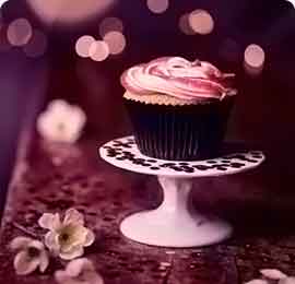 电话验证码轰炸免费